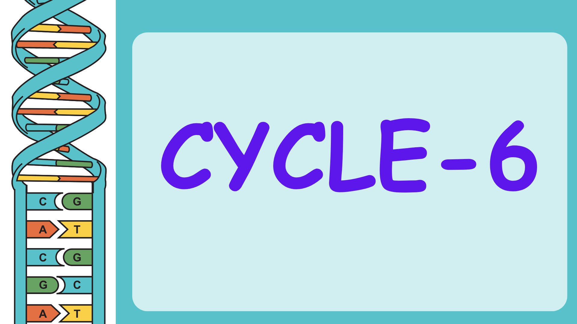 Cycle 6